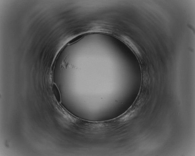 X0000094801292200712141644