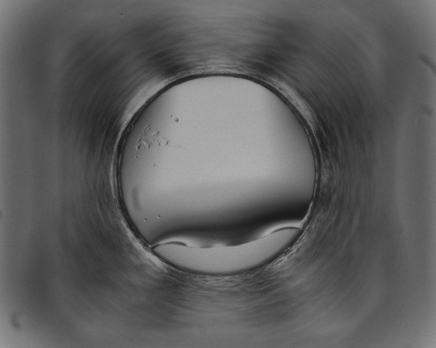 X0000094801293200712141644