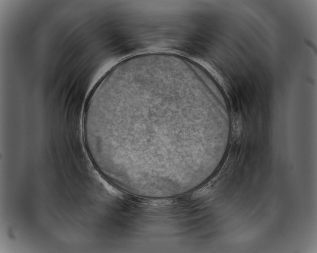 X0000094801294200712141644