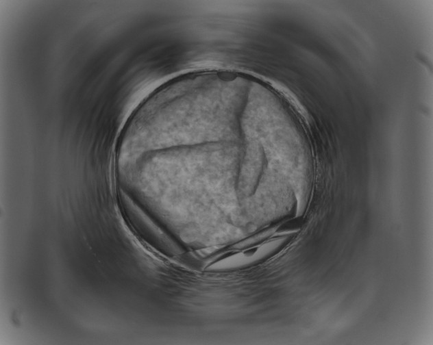 X0000094801295200712141644