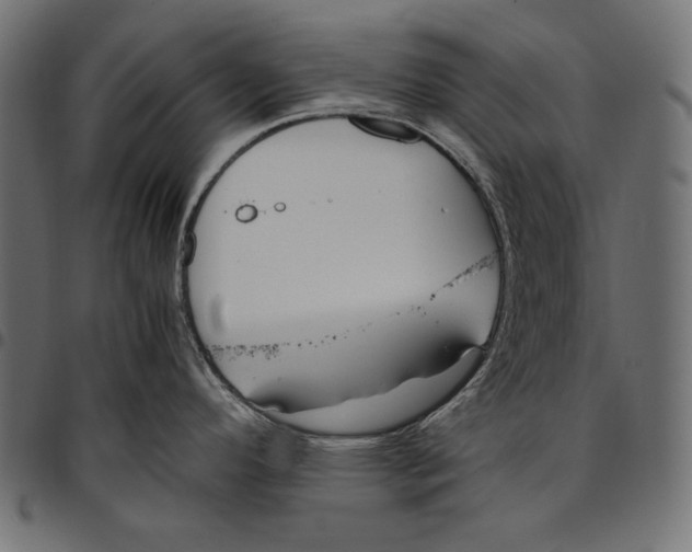 X0000094801296200712141644