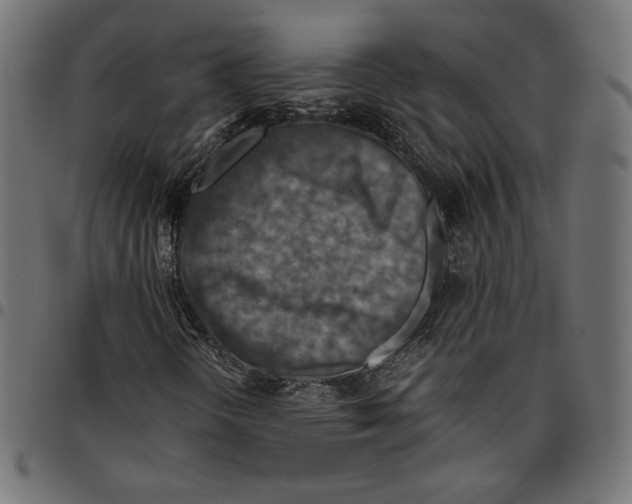 X0000094801298200712141643