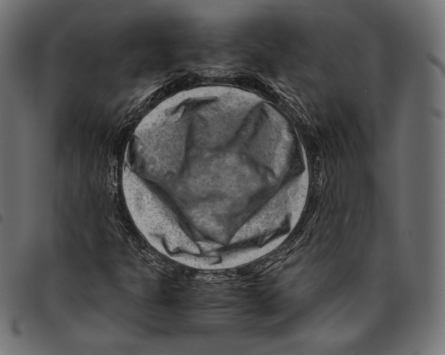 X0000094801301200712141643