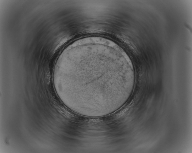 X0000094801306200712141643