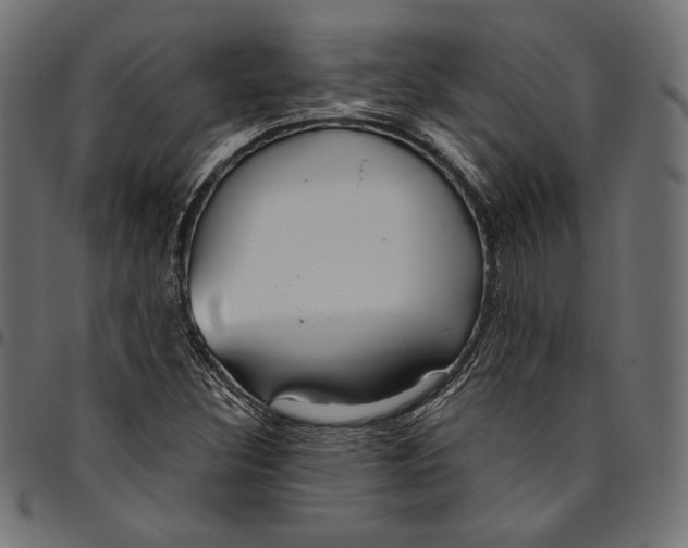 X0000094801308200712141643