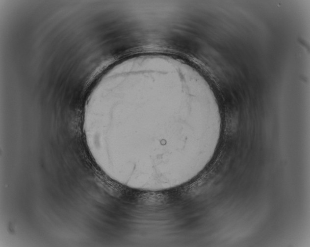 X0000094801314200712141644