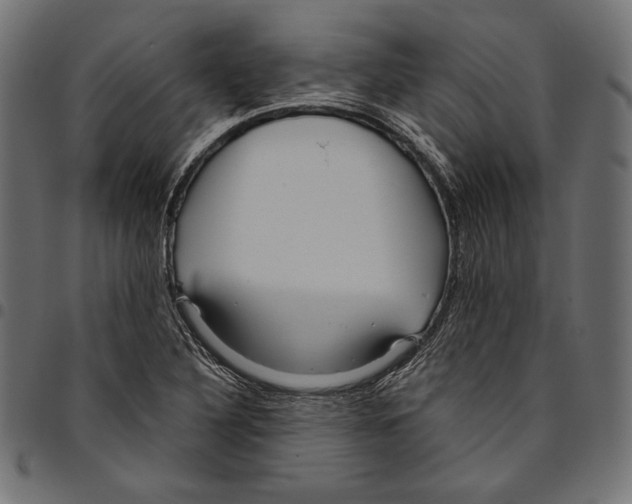 X0000094801316200712141644