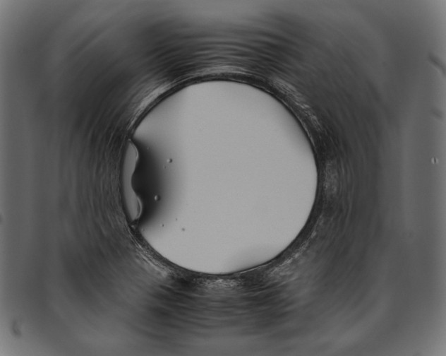 X0000094801321200712141644