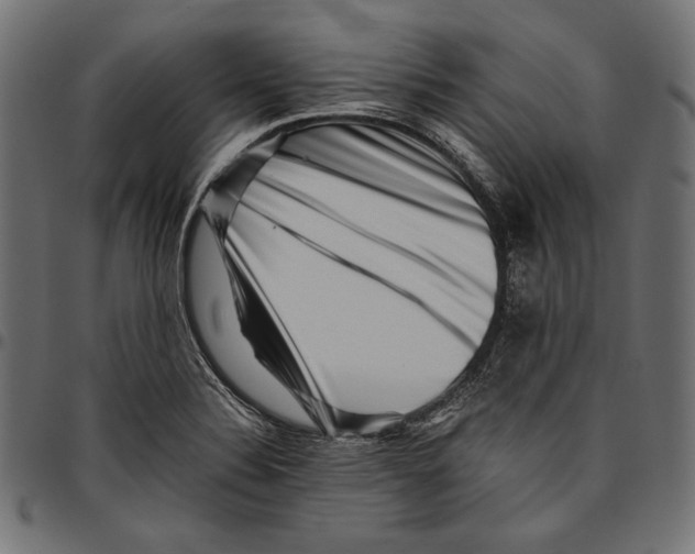 X0000094801324200712141644