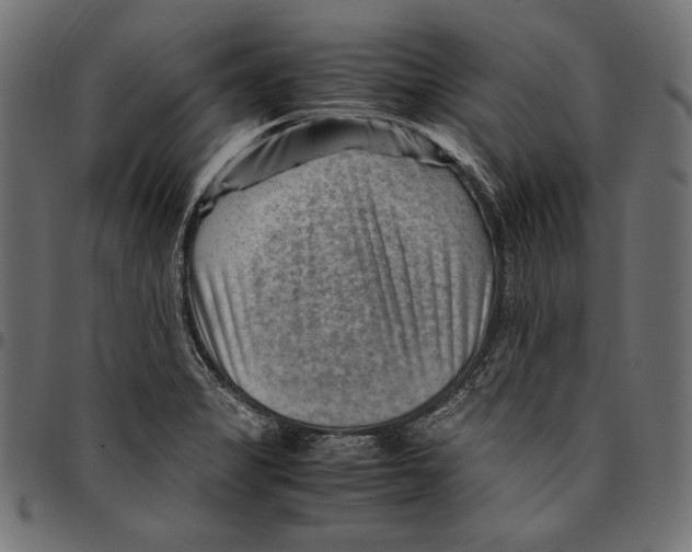 X0000094801325200712141644