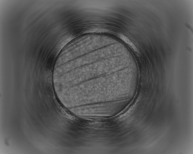 X0000094801329200712141644