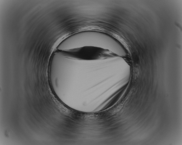 X0000094801330200712141644