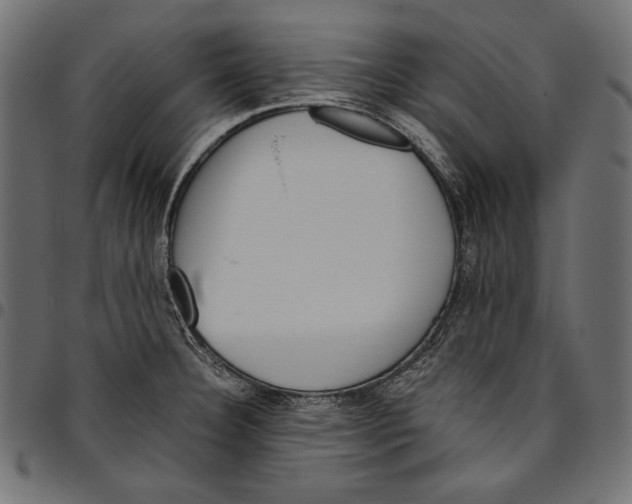 X0000094801332200712141644