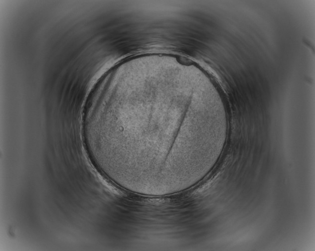 X0000094801333200712141644