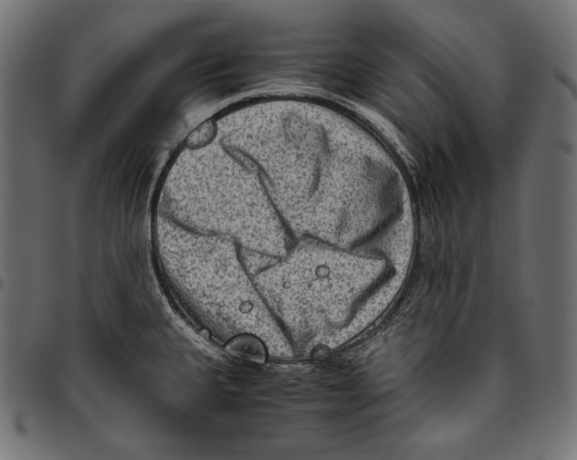 X0000094801335200712141644