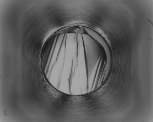 X0000094801336200712141644