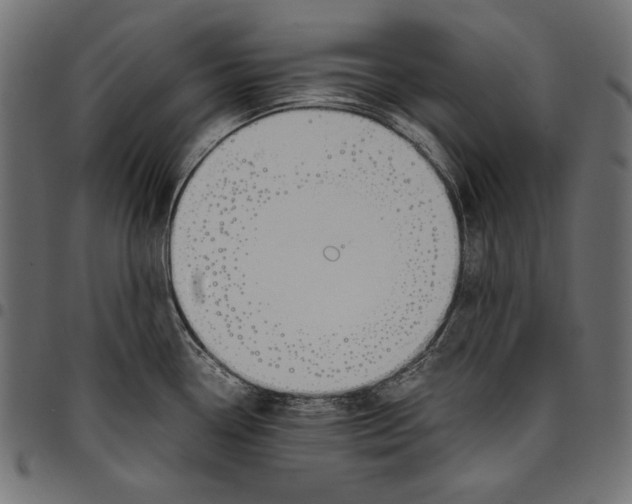 X0000094801338200712141644