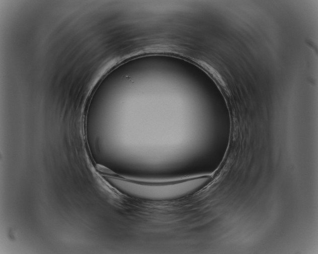 X0000094801342200712141644