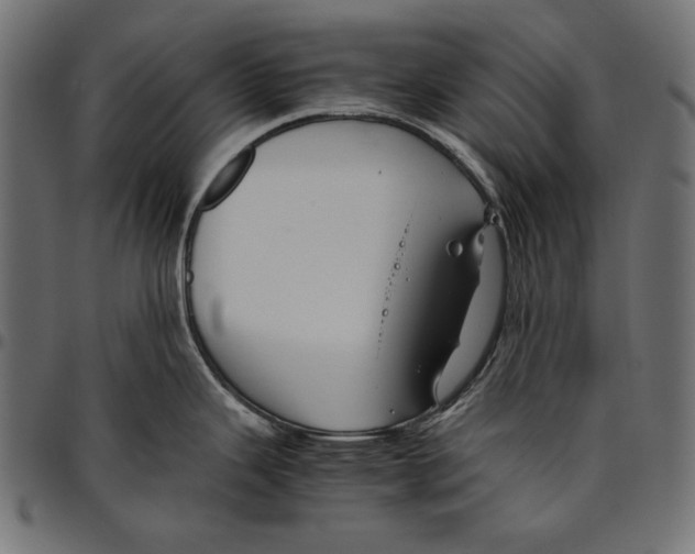 X0000094801343200712141644