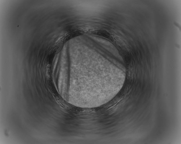 X0000094801346200712141643