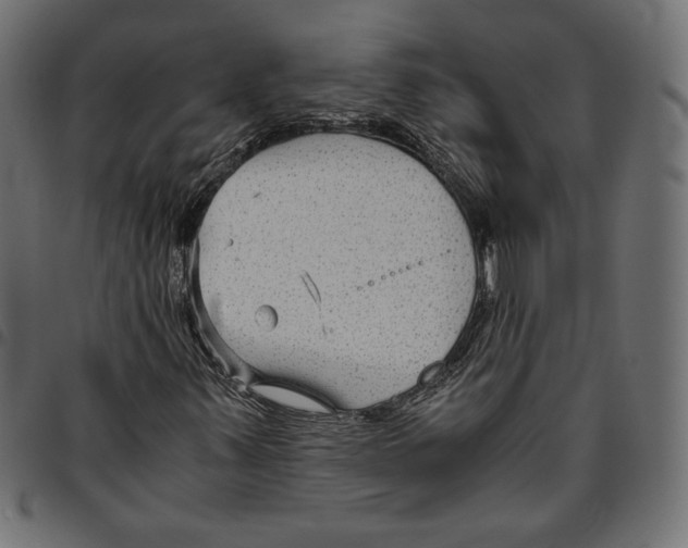 X0000094801347200712141643