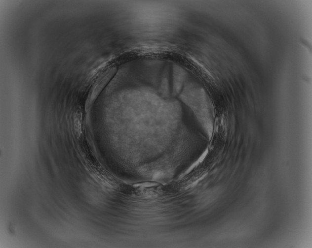 X0000094801348200712141643