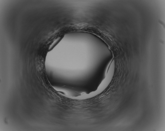 X0000094801349200712141643