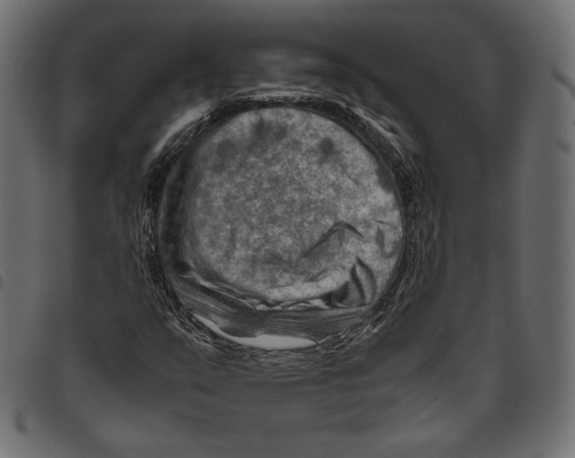 X0000094801351200712141643