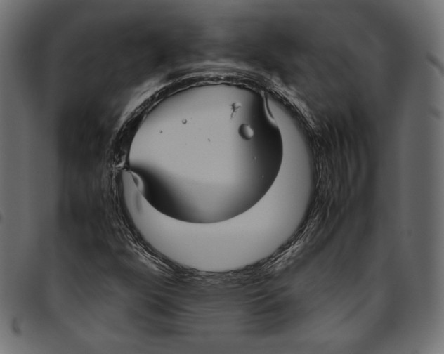 X0000094801352200712141643