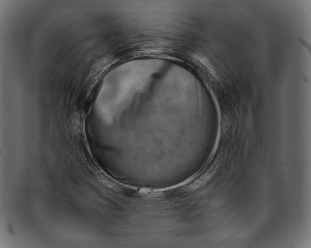 X0000094801353200712141643