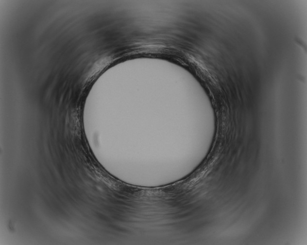 X0000094801354200712141643