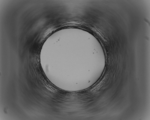 X0000094801355200712141643