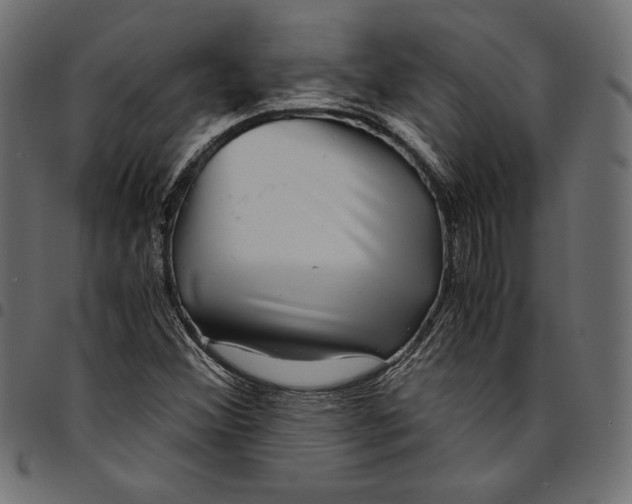 X0000094801356200712141643