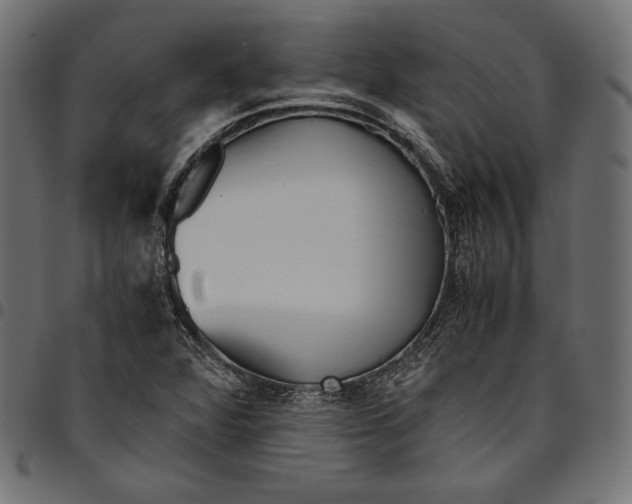 X0000094801360200712141643