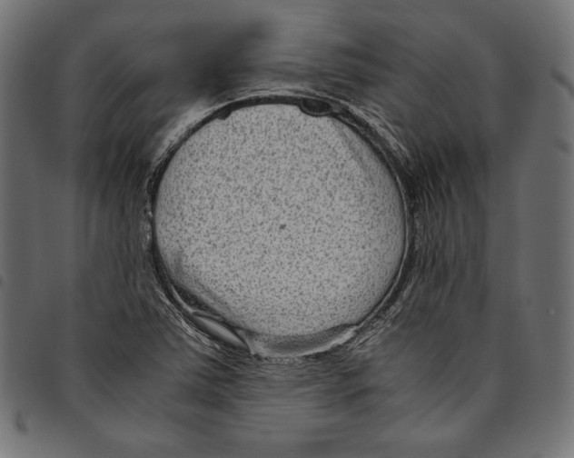 X0000094801363200712141643