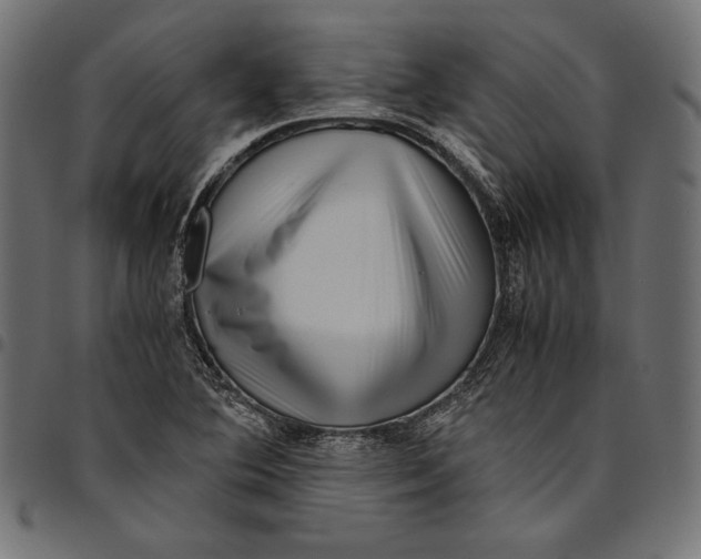 X0000094801364200712141643