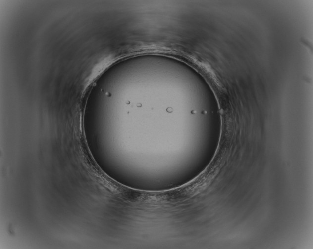 X0000094801365200712141643