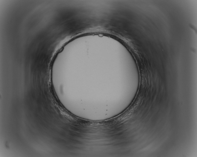 X0000094801366200712141643