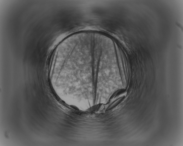 X0000094801367200712141643