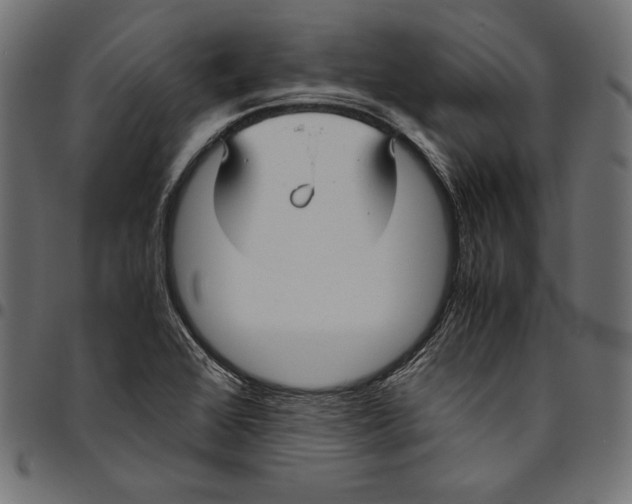 X0000094801368200712141643