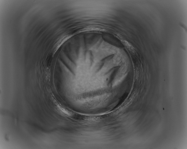 X0000094801369200712141643