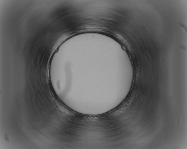 X0000094801370200712141643