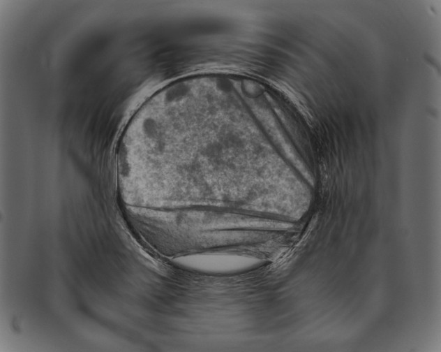 X0000094801371200712141643