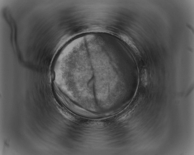 X0000094801372200712141643