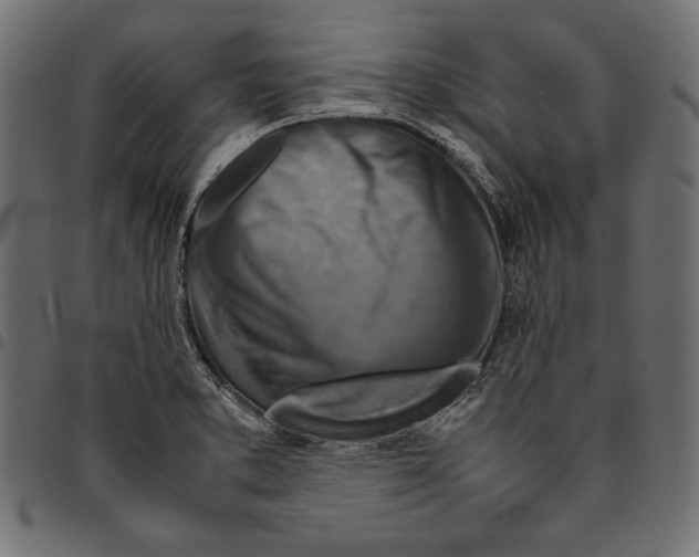 X0000094801373200712141643