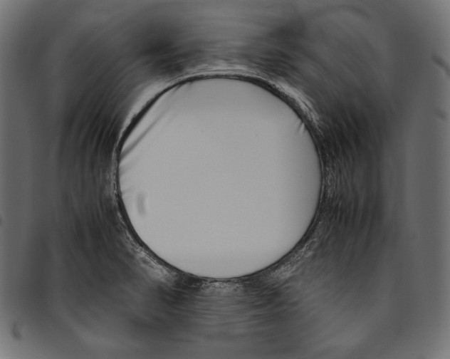 X0000094801374200712141643