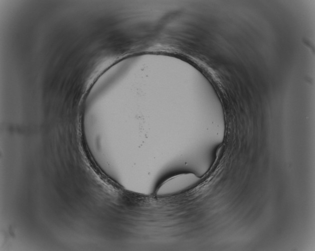 X0000094801375200712141643