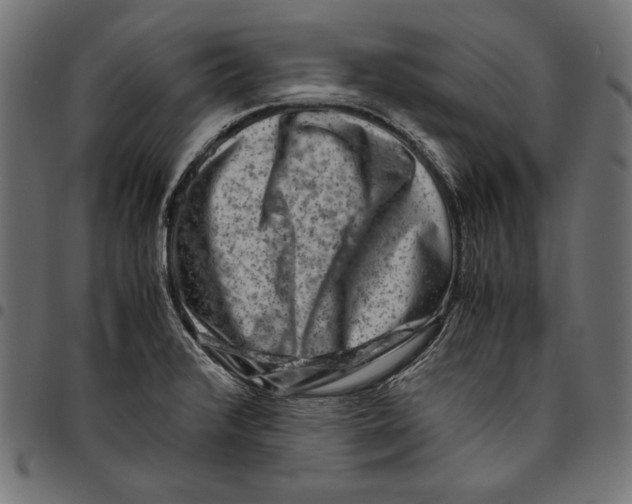 X0000094801376200712141643