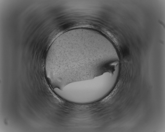 X0000094801377200712141643