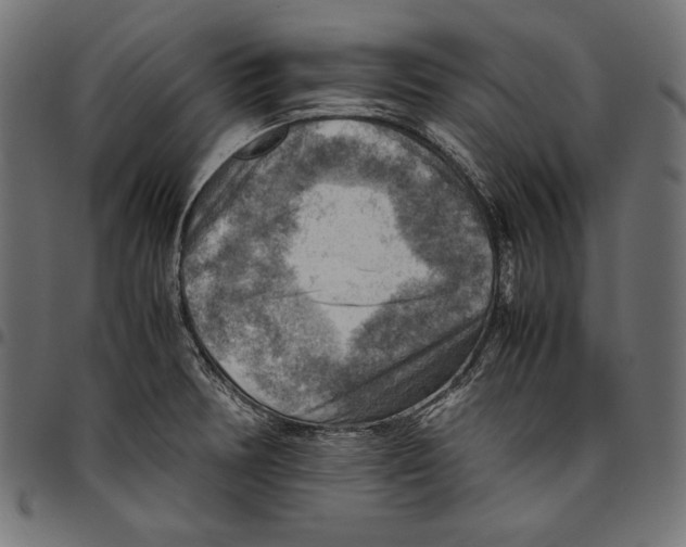 X0000094801378200712141643